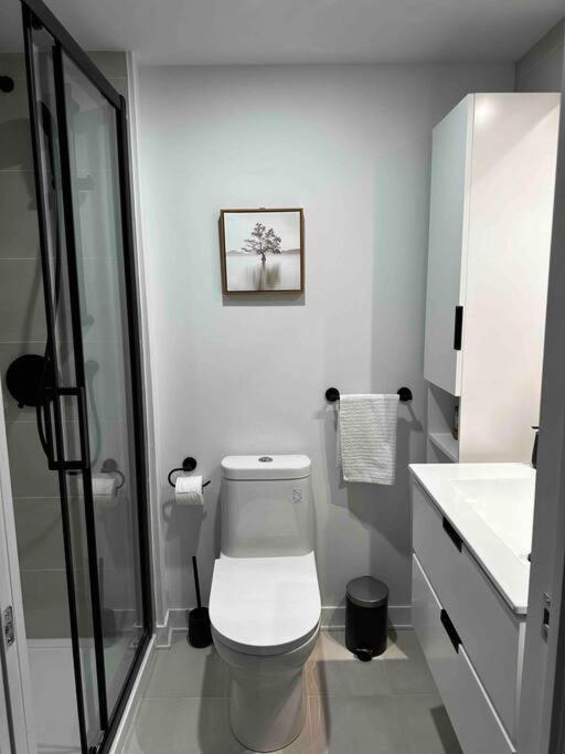 Bel Appartement Au Centre-Ville 몬트리올 외부 사진